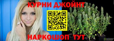 apvp Гатчина