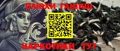 apvp Гатчина