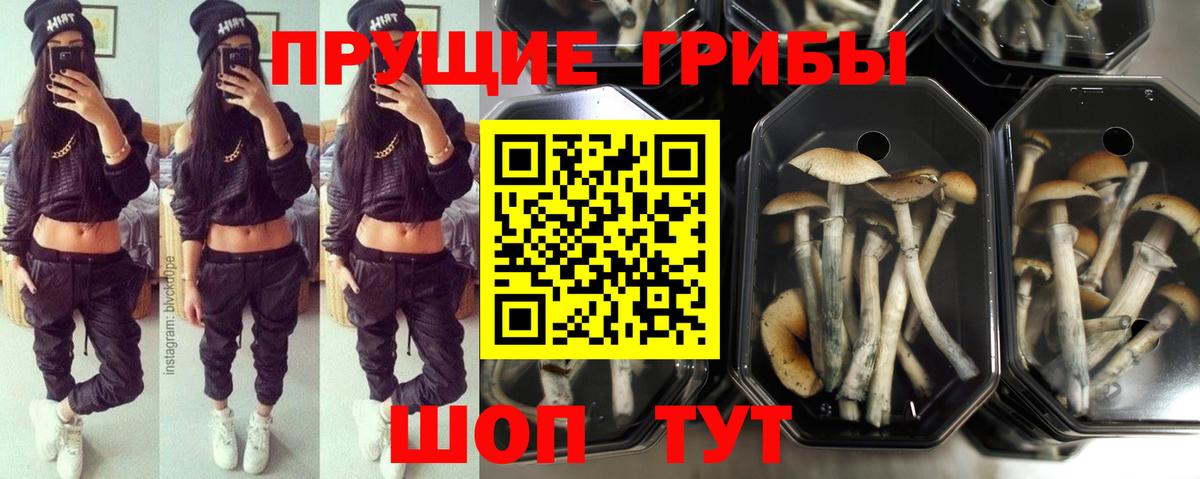 Галлюциногенные грибы мицелий  Вход с VPN  Галлюциногенные грибы ЛСД  Первоуральск 